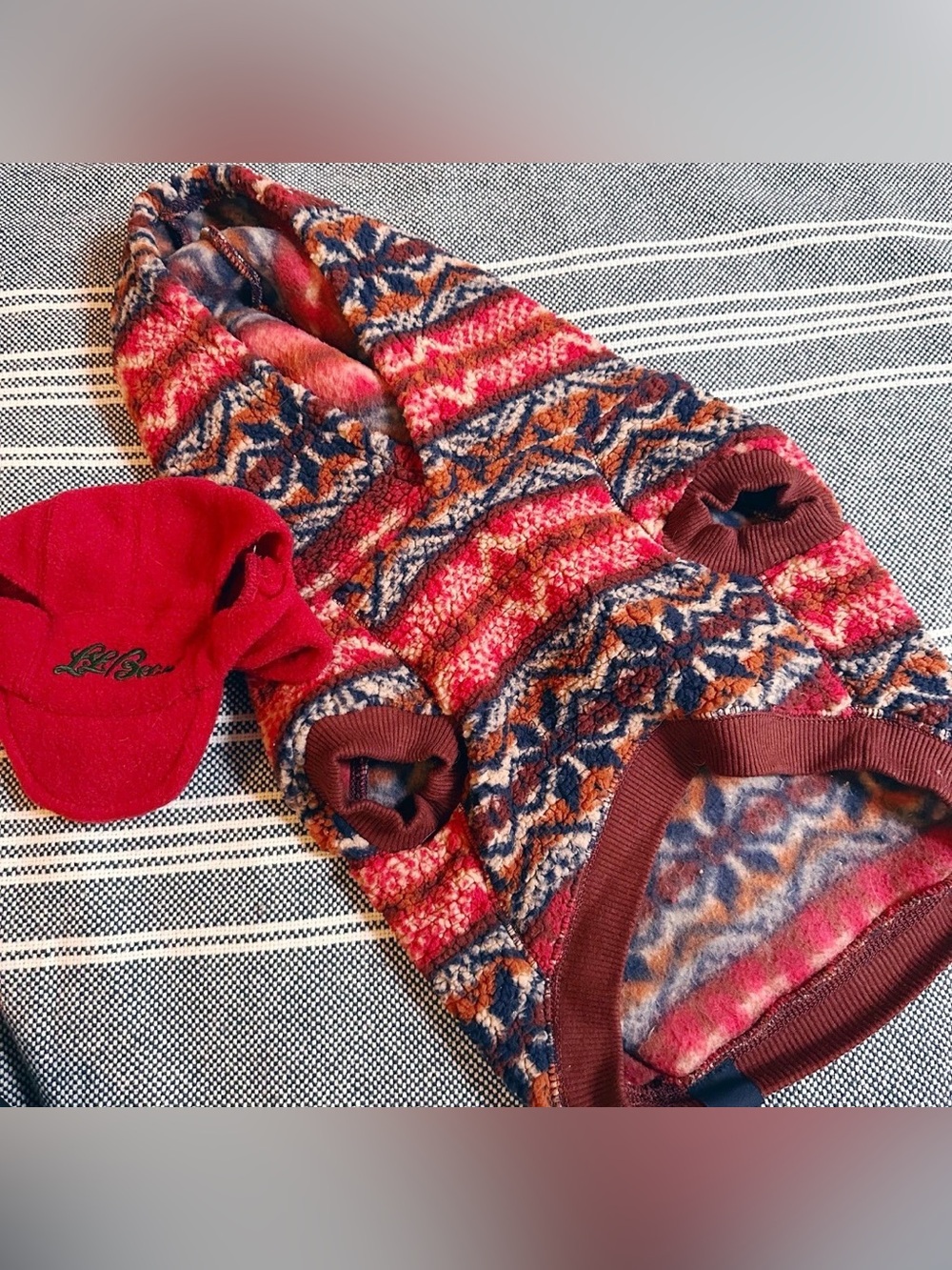 American Beagle Outfitters special edition winter fleece sweater dog cat S